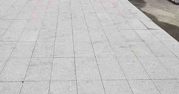 湖州芝麻白地铺案例