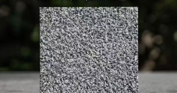 湖州 芝麻黑荔枝面