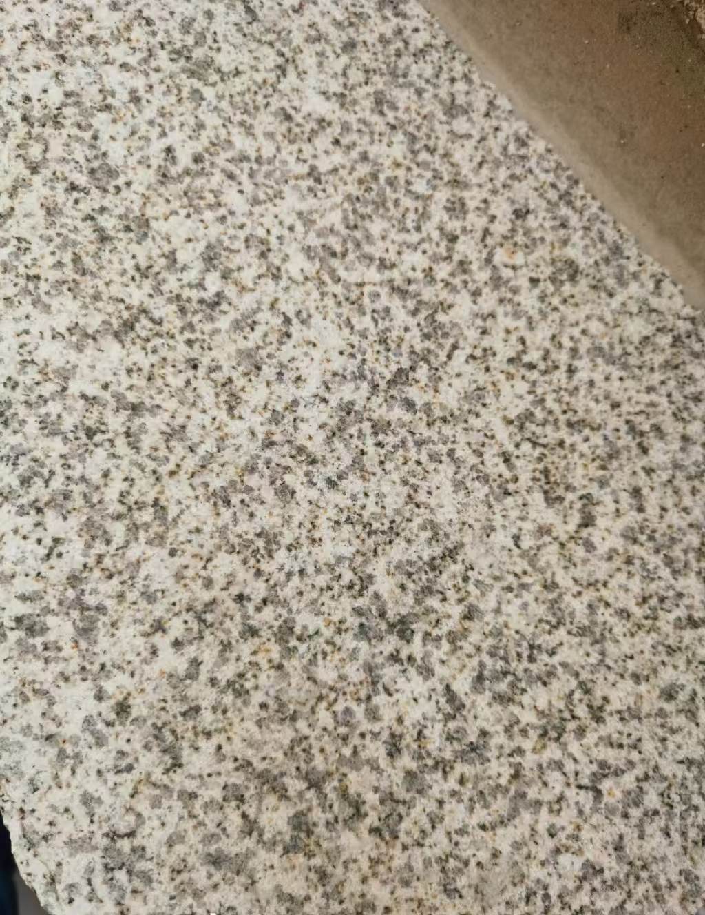 湖州 黄金麻中黄光面