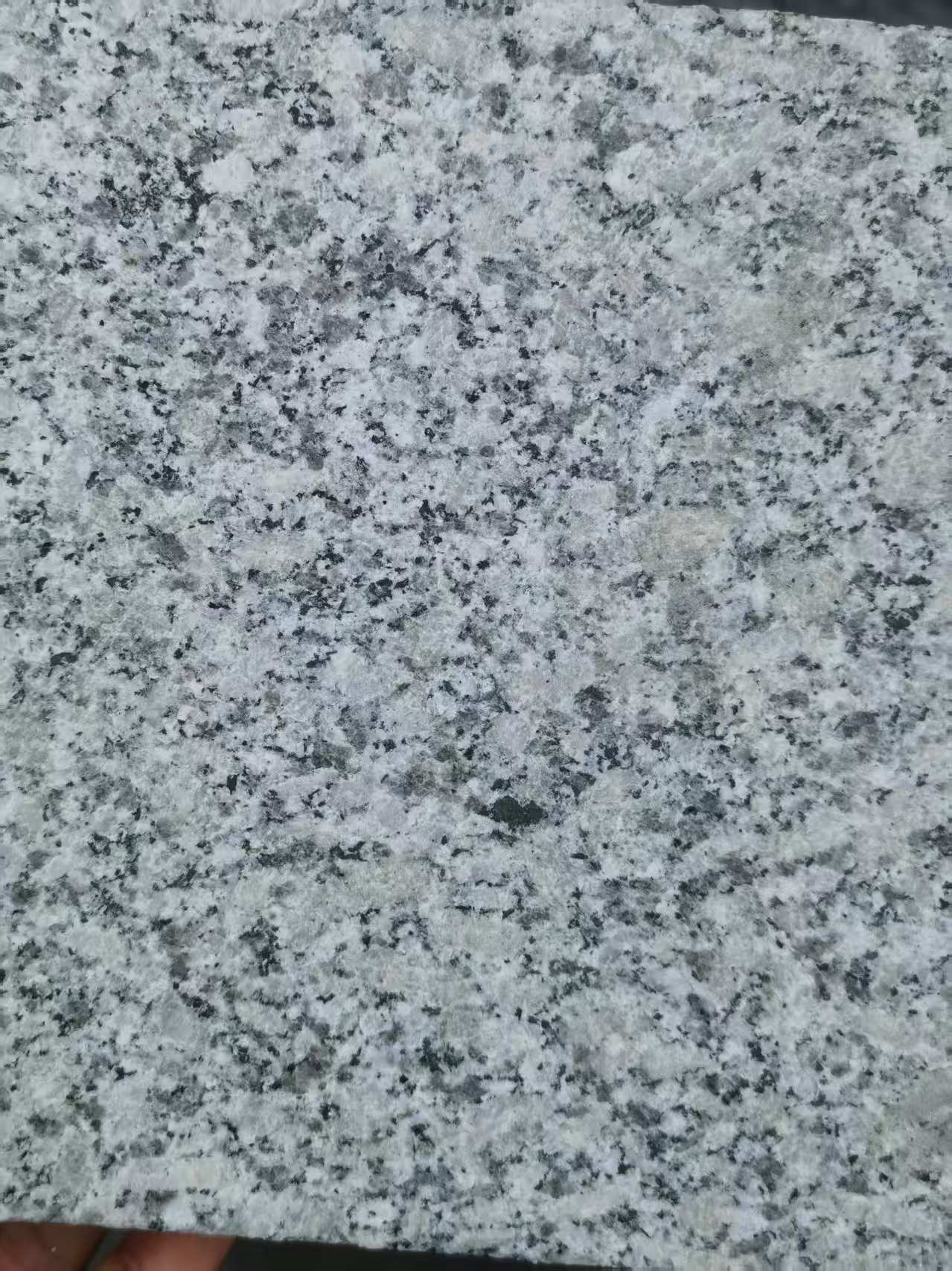 湖州 芙蓉白火烧面