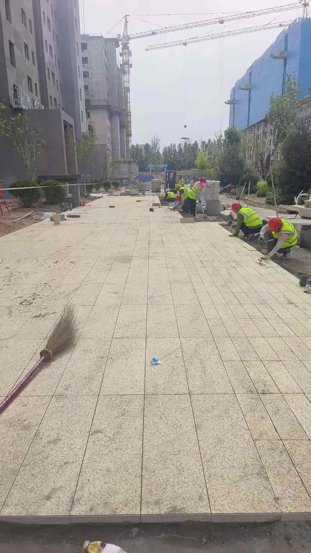 湖州黄金麻荔枝面地铺案例